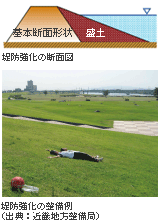 堤防強化の整備例